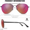 imageThe Fresh Classic Metal Frame Mirror Lens Aviator Sunglasses with Gift Box34black Spring Temple