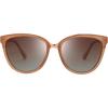 Light Brown  Brown Gradient